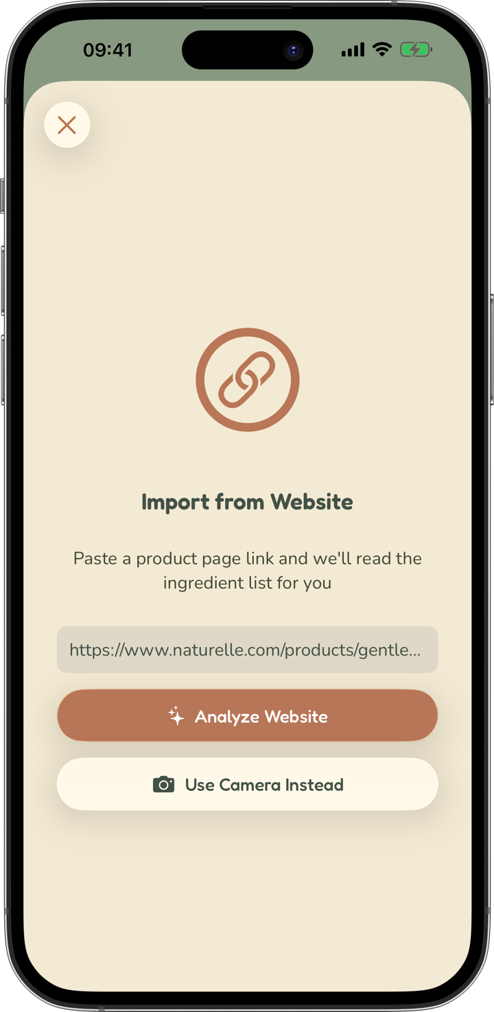 Import from website screen with a product link
